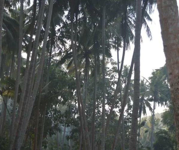 ホリデーパーク Nyuh Gading Nusa Penida
